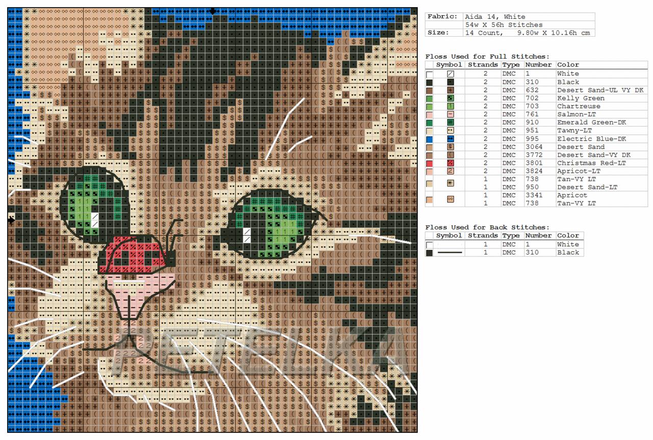 [7206 - Cross-Eyed Kitty (1).jpg]