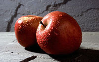 A maçã, um dos símbolos da capa do livro.