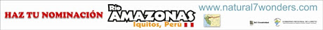 www.votarioamazonas.com