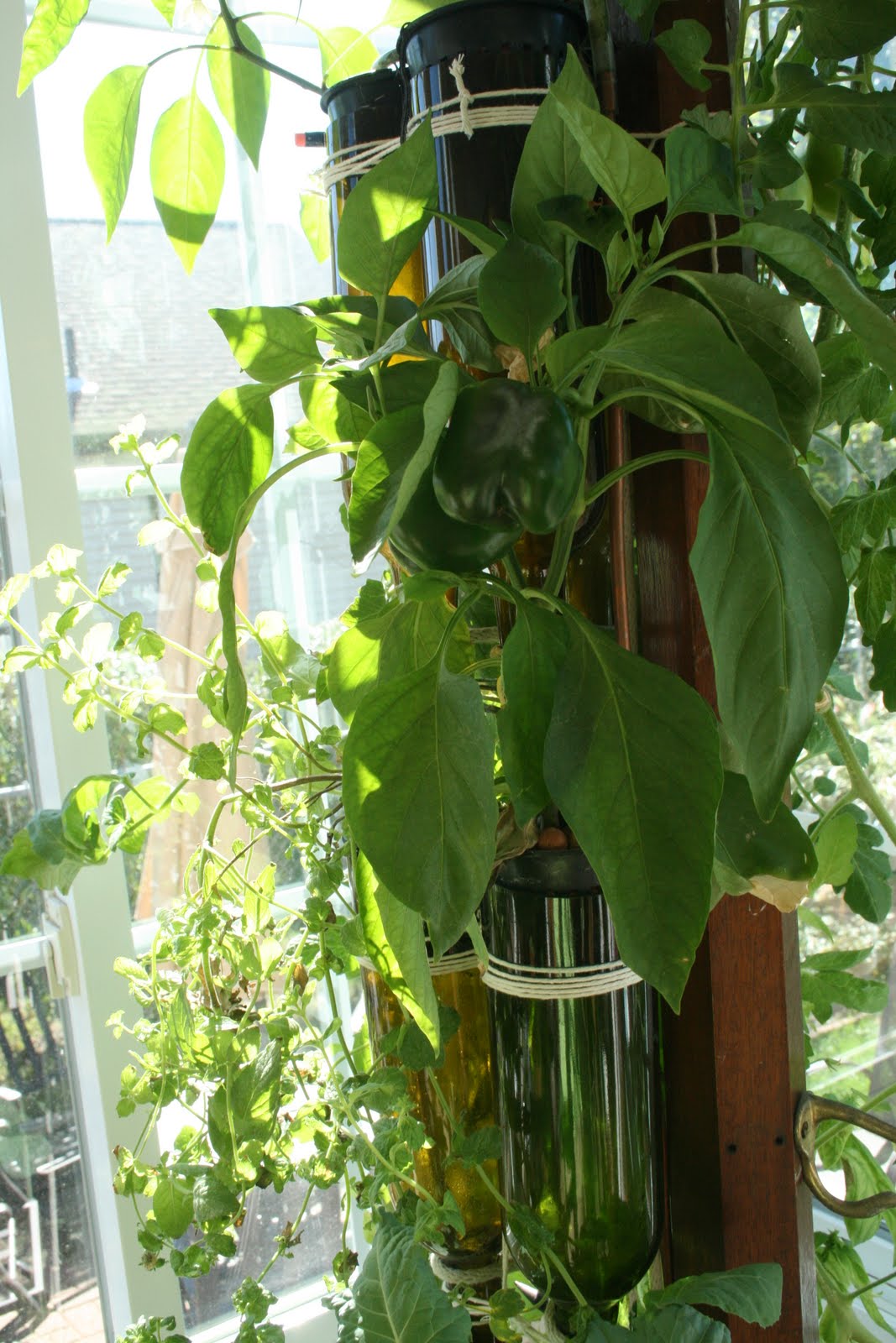 Windowfarms R&D-I-Y: Lessons for Crowdsourcing Innovation ...