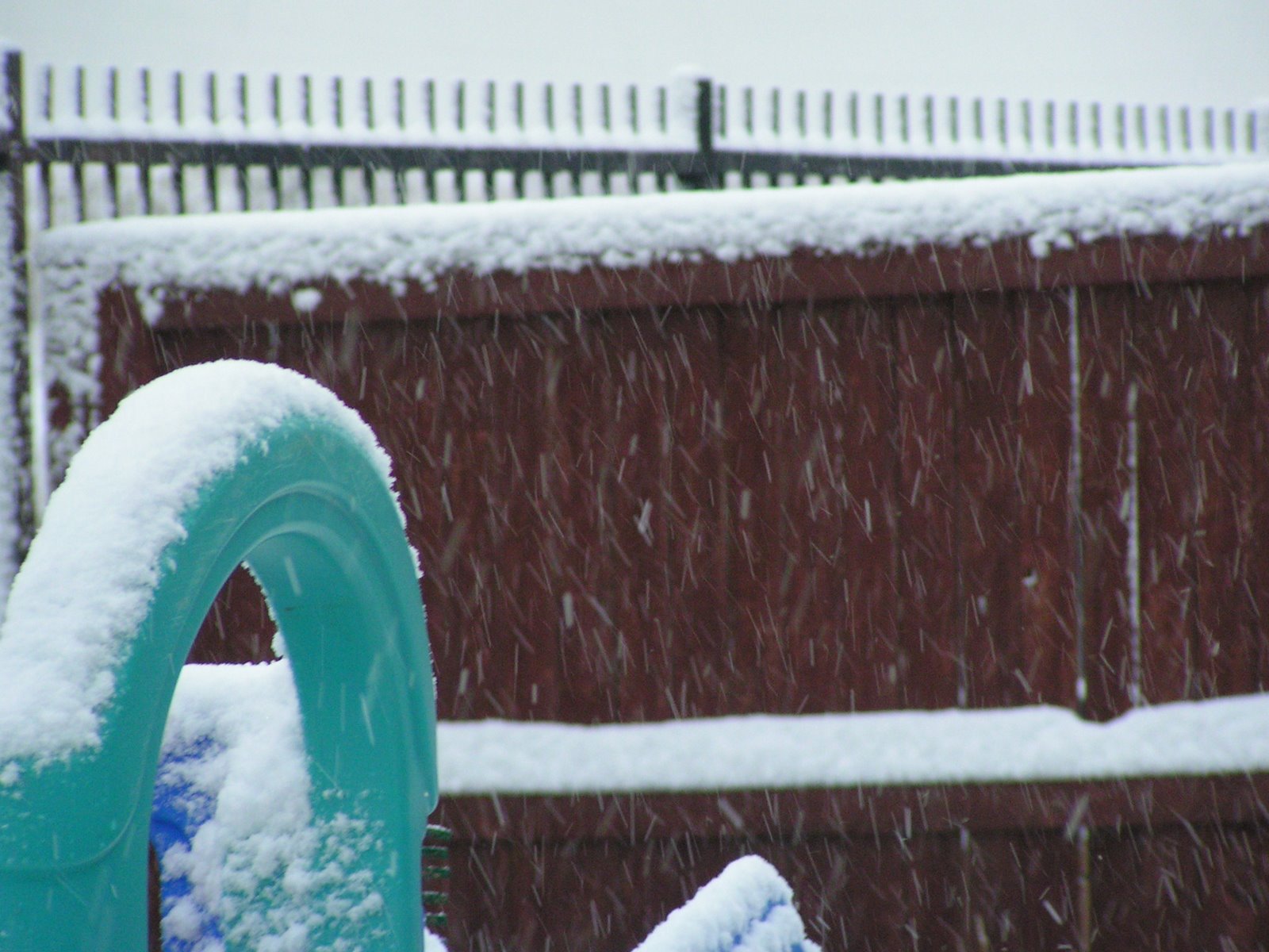 [12-17-08+Snow+006.JPG]