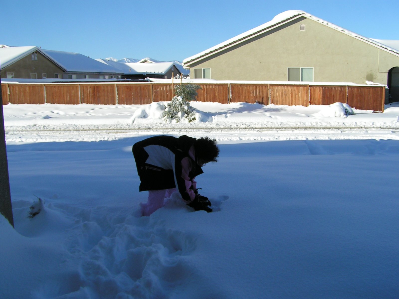 [12-17-08+and+12-18-08+Snow+049.JPG]