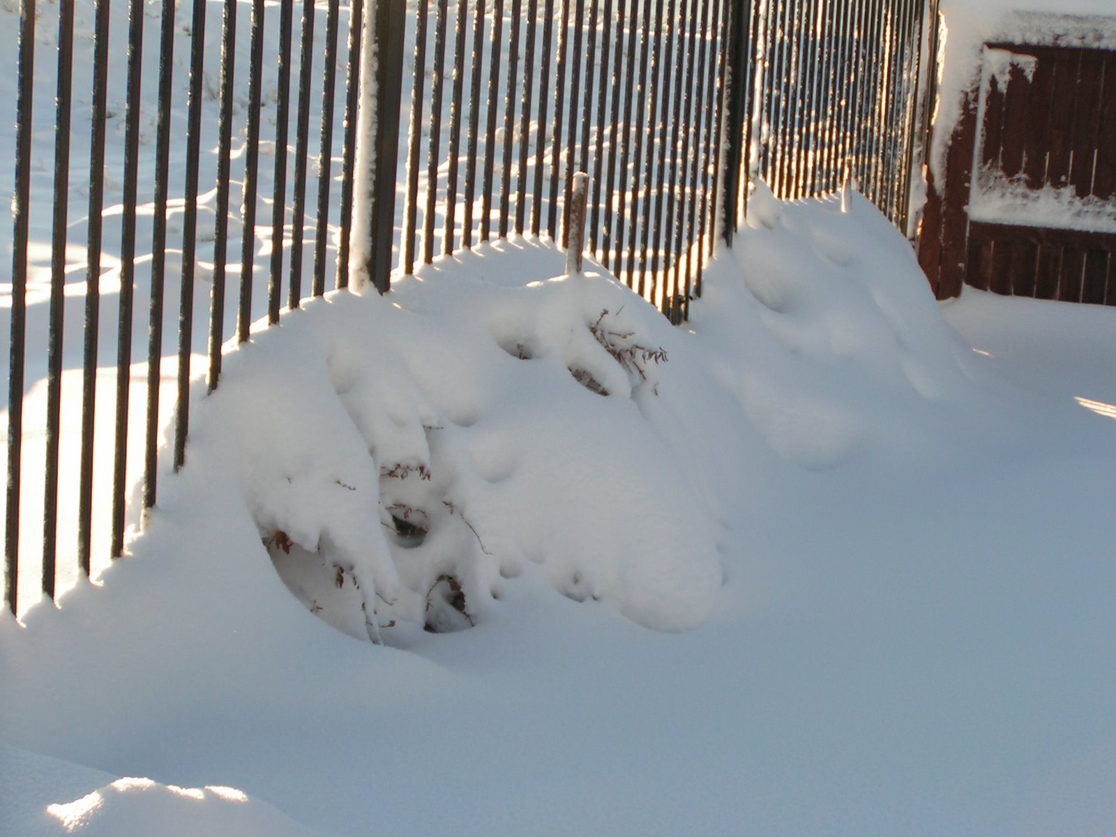 [12-17-08+and+12-18-08+Snow+031.JPG]