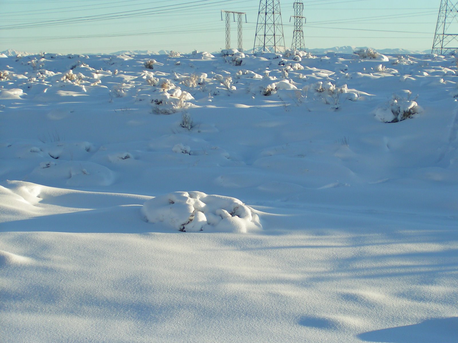 [12-17-08+and+12-18-08+Snow+034.JPG]