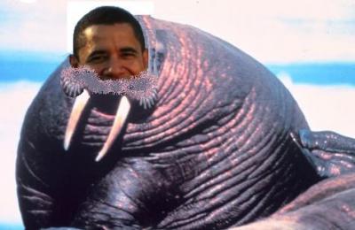 Which End is Up!?: Dear God, Make Me a Walrus, So I Can Swim Far, Far Away…