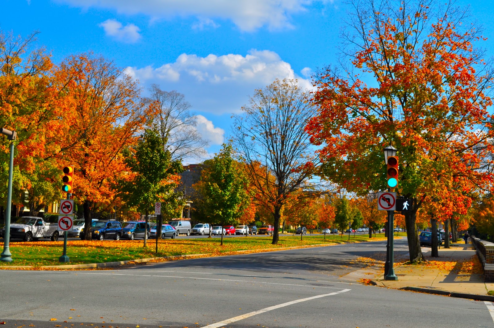 photoblog-fall-on-monument-avenue
