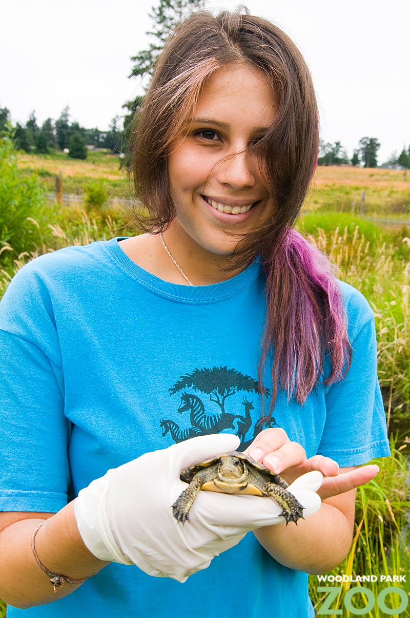 Teens release endangered turtles into wild