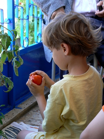 [snipshot_d4194fm3703b.jpg]