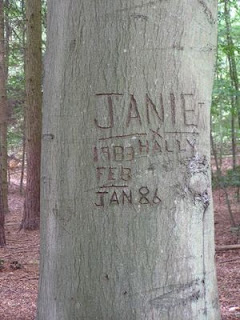 A tree-trunk with carved graffiti