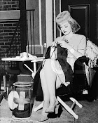 ....Betty Davis ....Knit