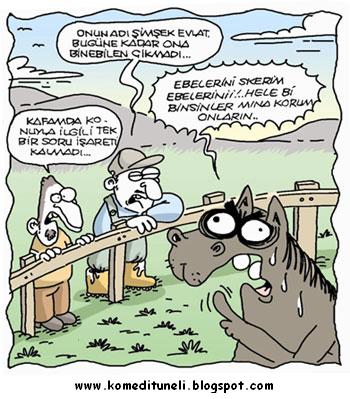 [5133478_serk484%20(6).jpg]