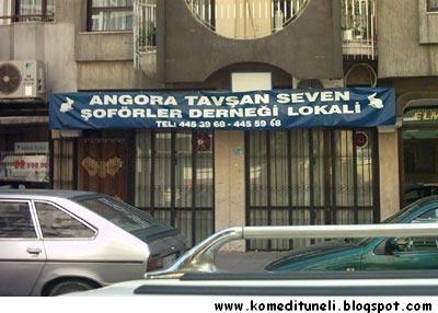 [k155.jpg]