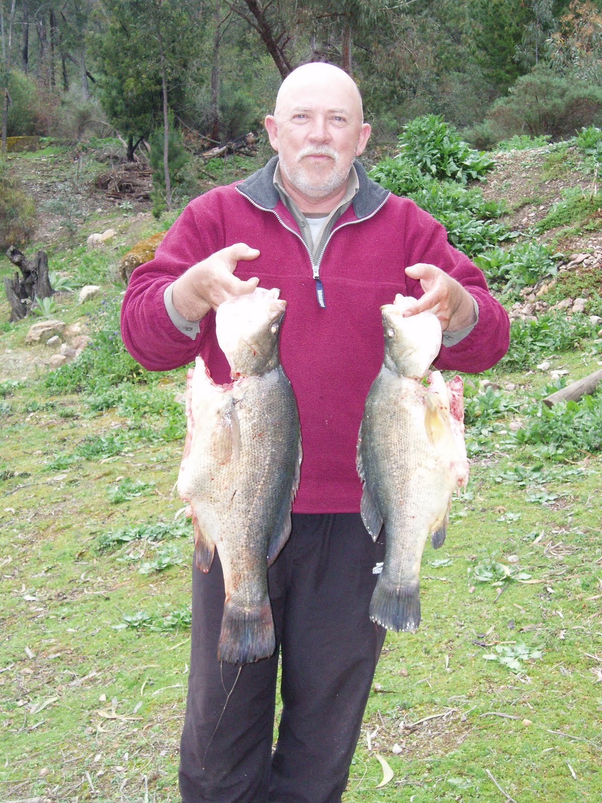Gundagai Anglers Club Fishing Reports Burrinjuck Fishing Trip October 2010