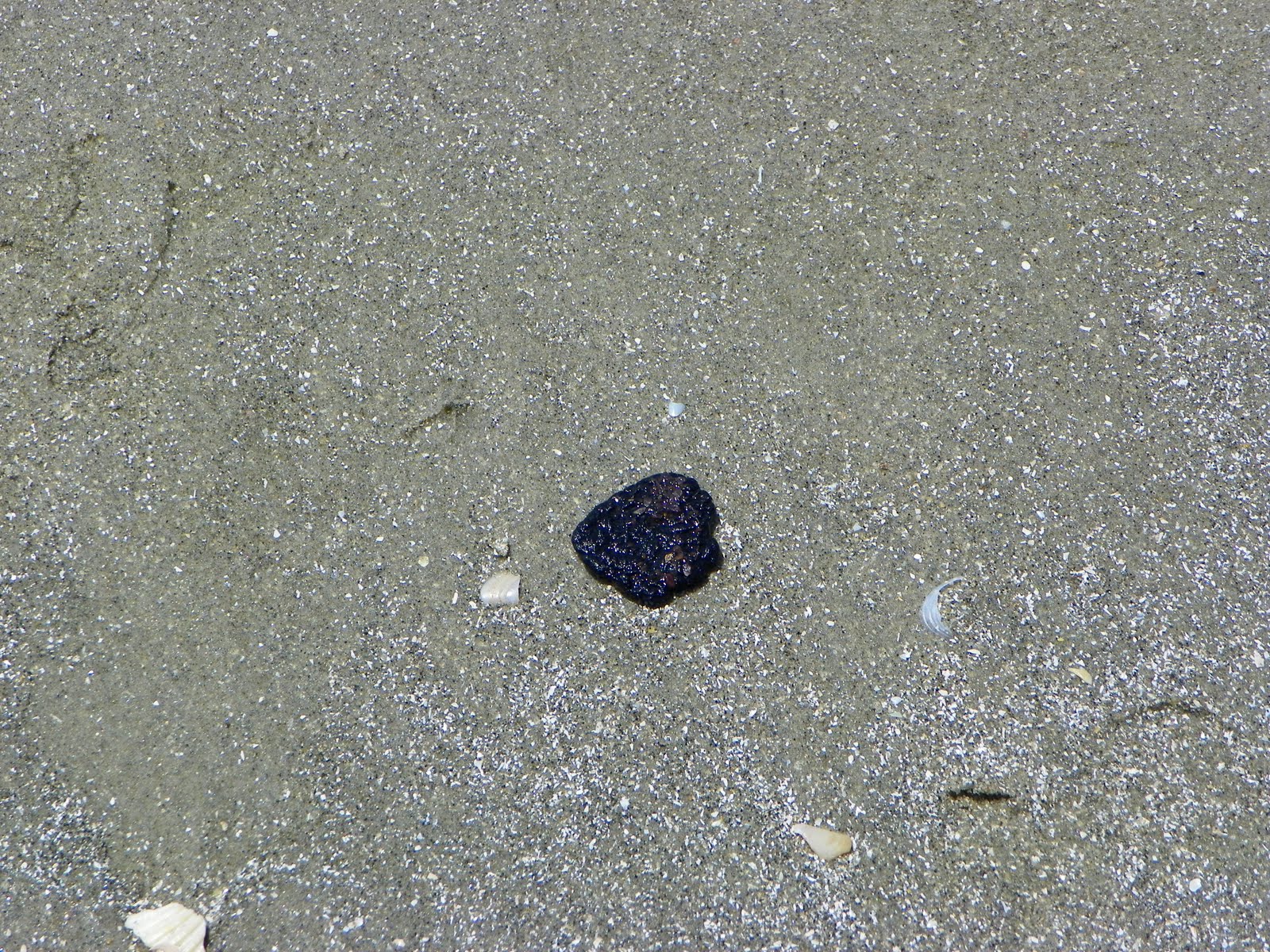Nan's Notes Water Clear Tar on the Beach