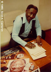 Muddy Waters