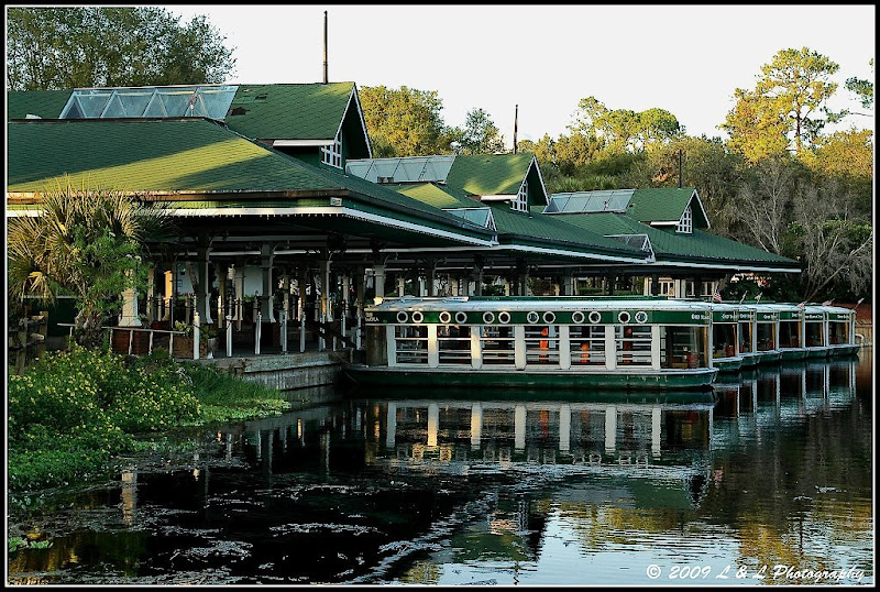 Ocala, Central Florida & Beyond Glass bottom boats at Silver Springs