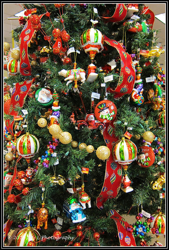 Ocala, Central Florida & Beyond Christmas trees in Ocala are ornamental...