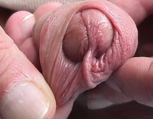 Know site my tongue under foreskin join. All My tongue under foreskin recommend