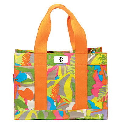 [beach-tote-l.jpg]