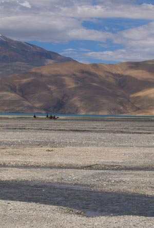 [Ladakh+Nomads+2005+218.jpg]