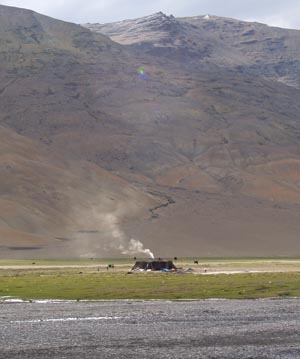 [Ladakh+Nomads+2005+224.jpg]