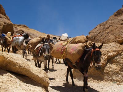 [Ladakh+Nomads+2005+108.jpg]