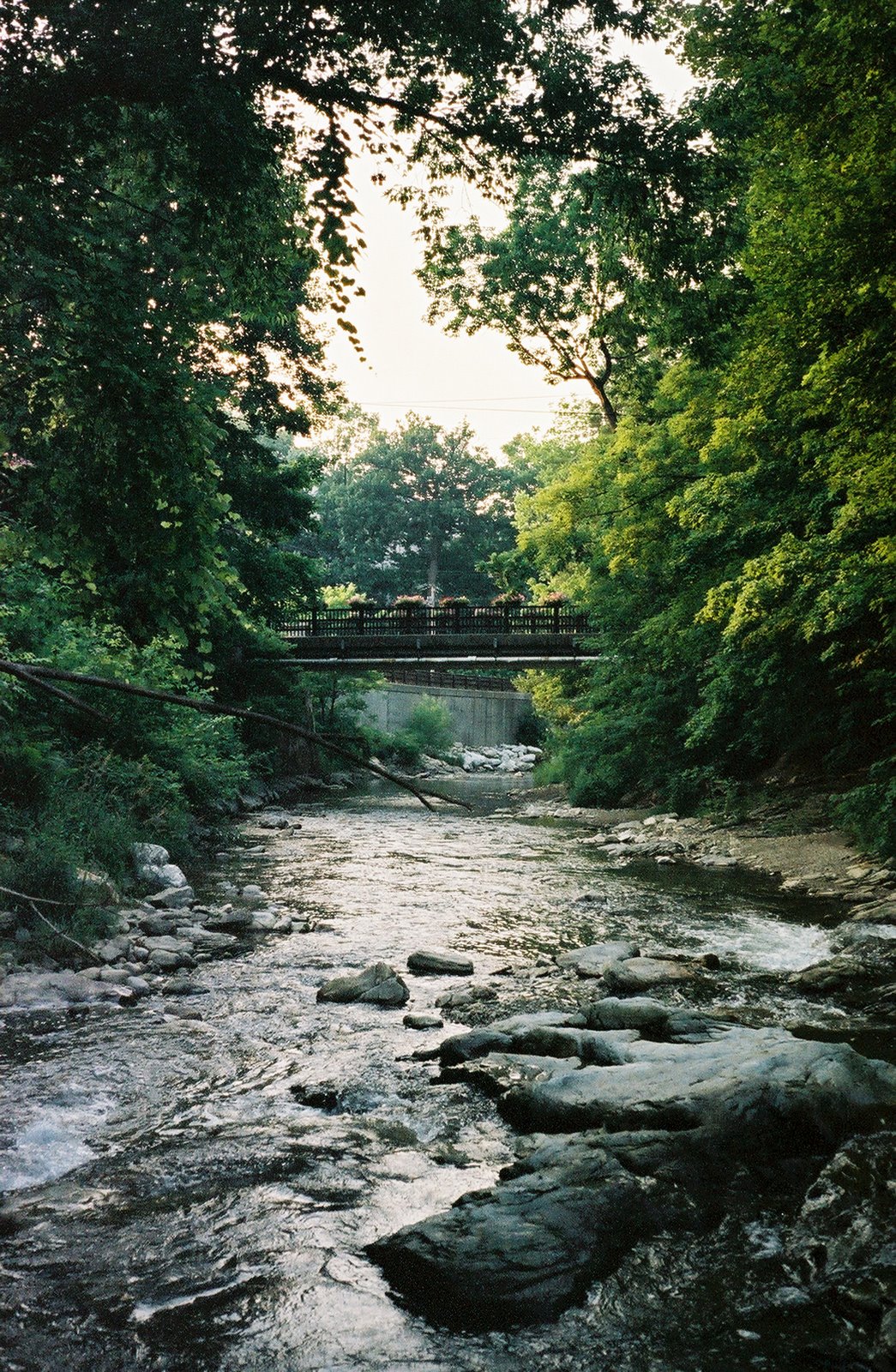 [FH000004.jpg]