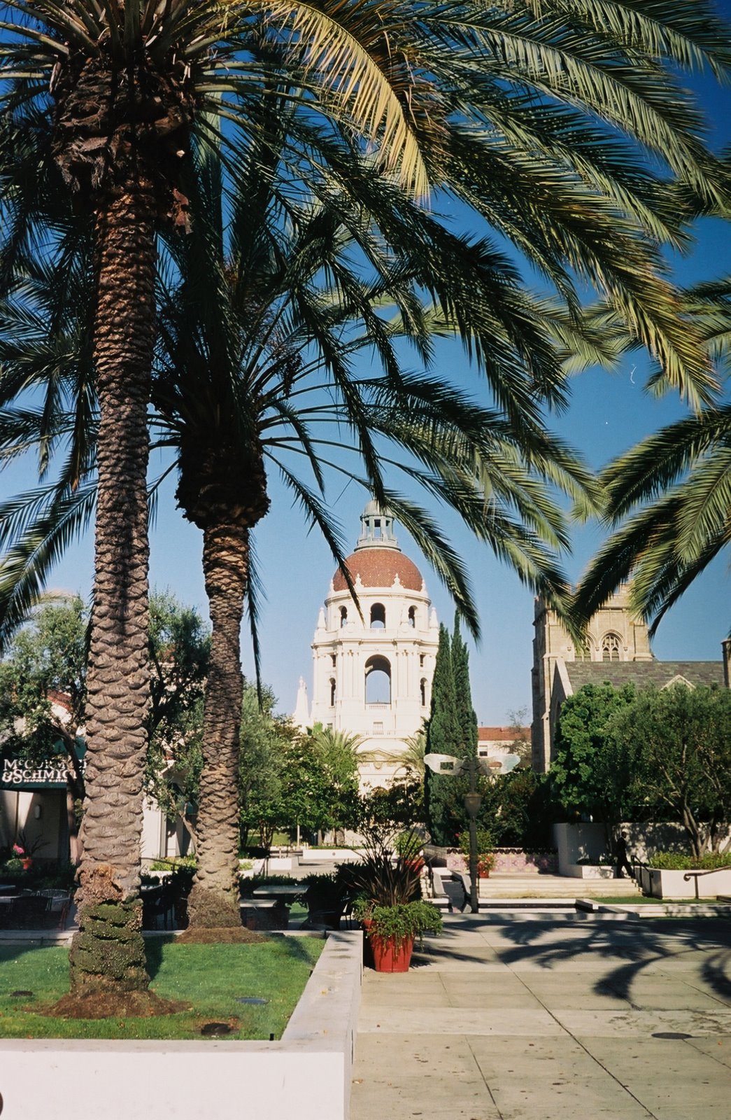 [ca0081453_0081453-R1-017-7.jpg]