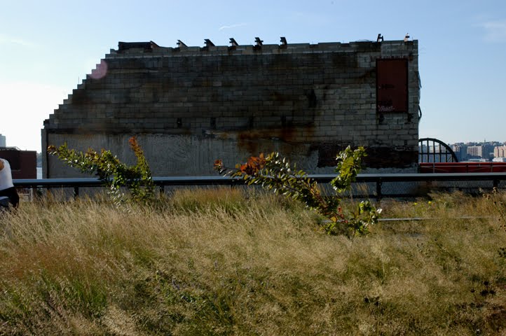 [smDSC_0678.jpg]