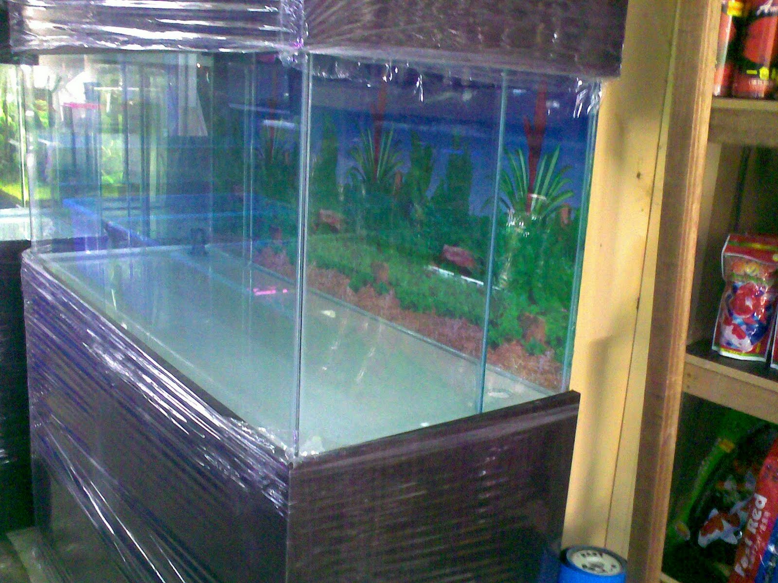 Atlantis Safari Malaysia 4feet aquarium