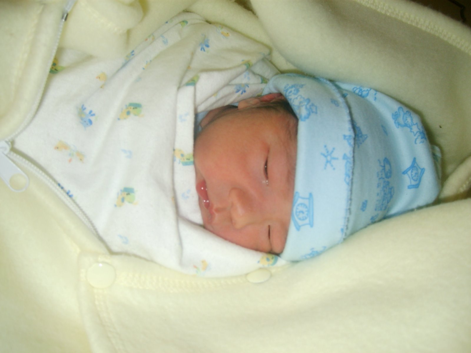 [S6001798.JPG]