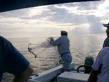 Catching Bait