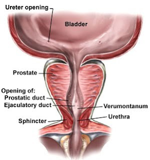 Mi a jobb prostatitis amoxiclav vagy ciprolet esetén