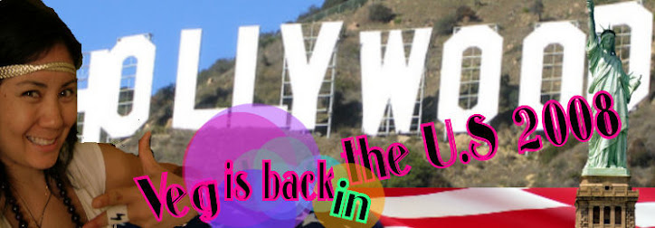 Veg's U.S travels 2008