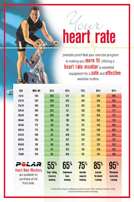 WORKOUT HEART RATE CHART AGE - Aerobic