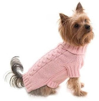 собака в пуловере