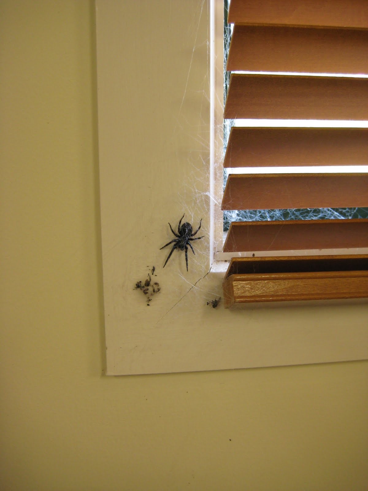 aprons and hammers In the studio