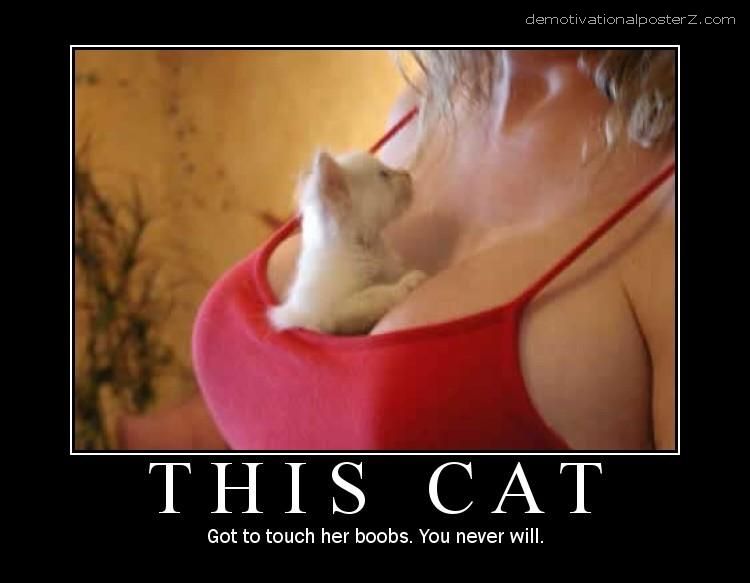 cat touch boobs motivational posters demotivator poster