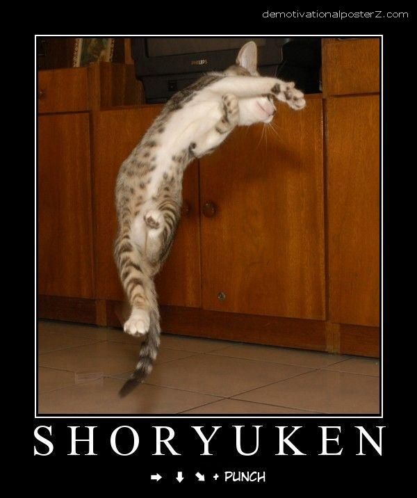 Shoryuken Cat Punch demotivational poster demotivator