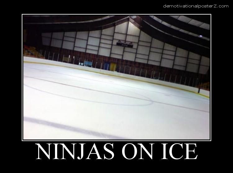 Ninjas on ice motivational poster