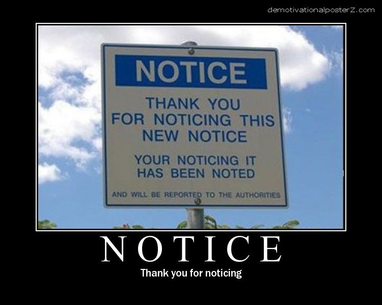 notice sing thanks for noticing