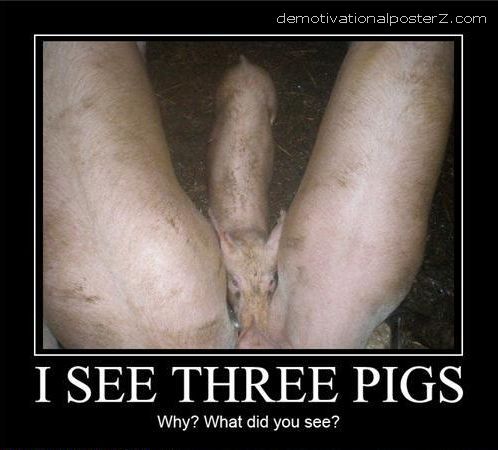 i see three pigs penis cock