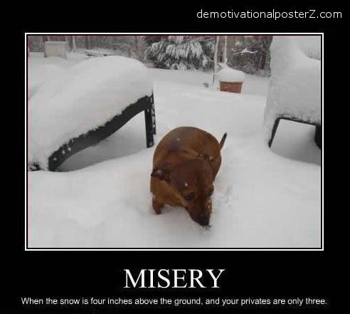 misery dog balls demotivator