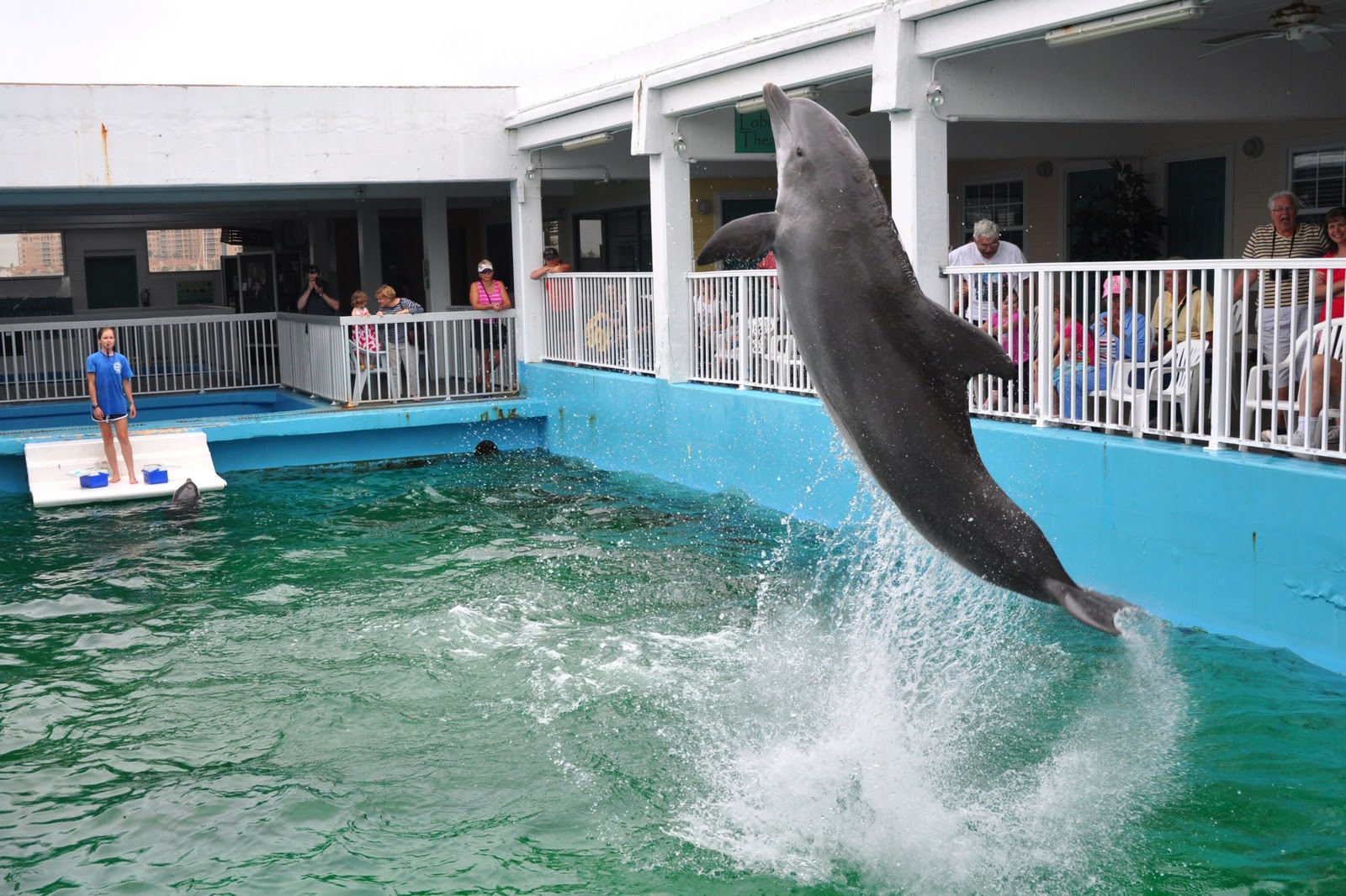 Magnum Arts Clearwater Marine Aquarium