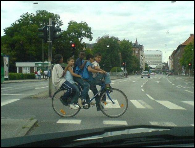 [Bicycle+Pooling+(+New+Trend)+[640x480].jpg]