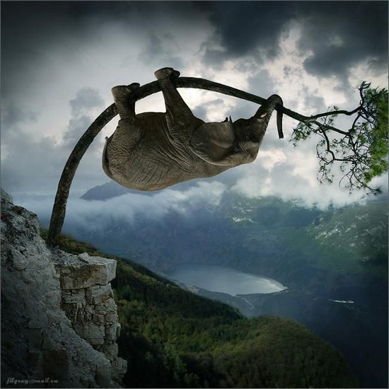 [funny-pictures-25922.jpg]