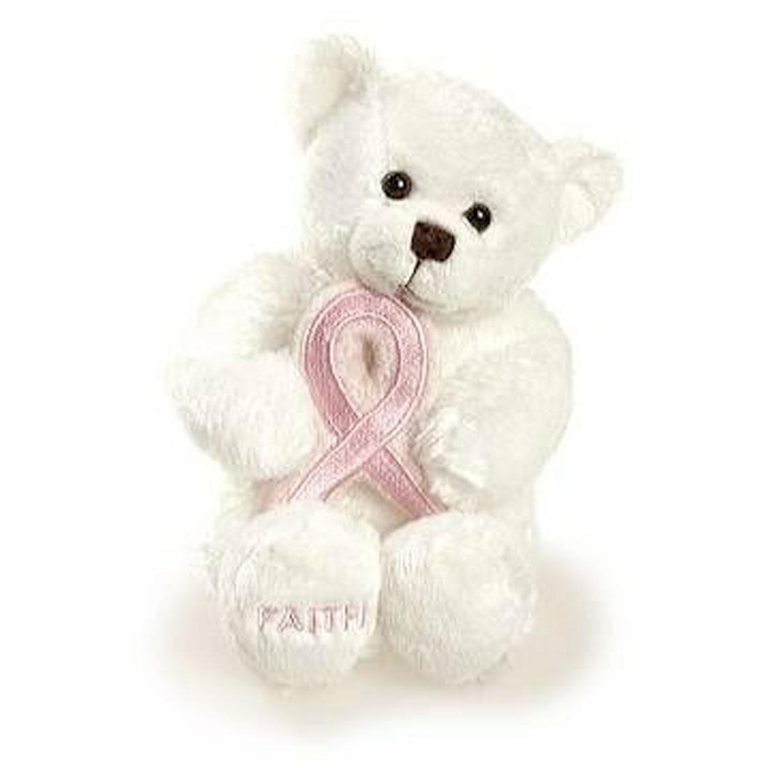 http://3.bp.blogspot.com/_apKdrlxvIPg/SwJmJ8cDkZI/AAAAAAAAAIo/_ndf0vyvhgs/s1600/faith_pink_ribbon_breast_cancer_gift_bear.jpg