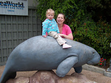 Sea World