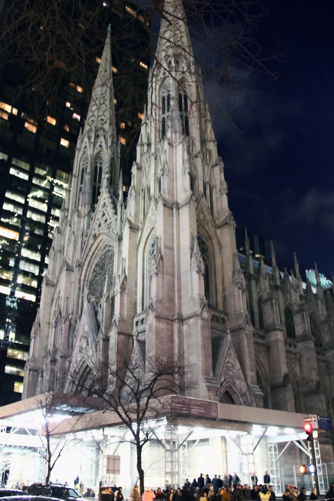 Its a Southern Thing: Saint Patrick's Cathedral
