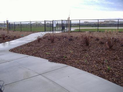 [regencydogpark.jpg]